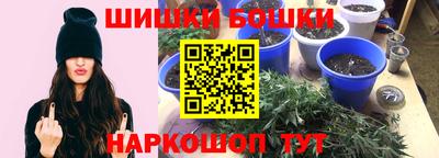 сатива Камышлов