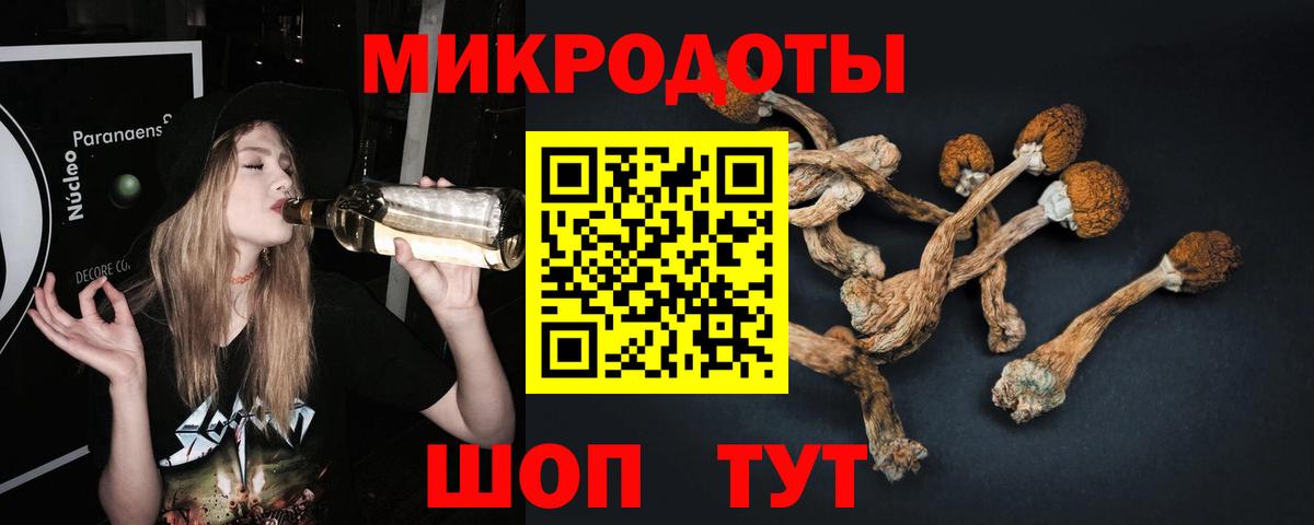 Галлюциногенные грибы Cubensis Ликино-Дулёво